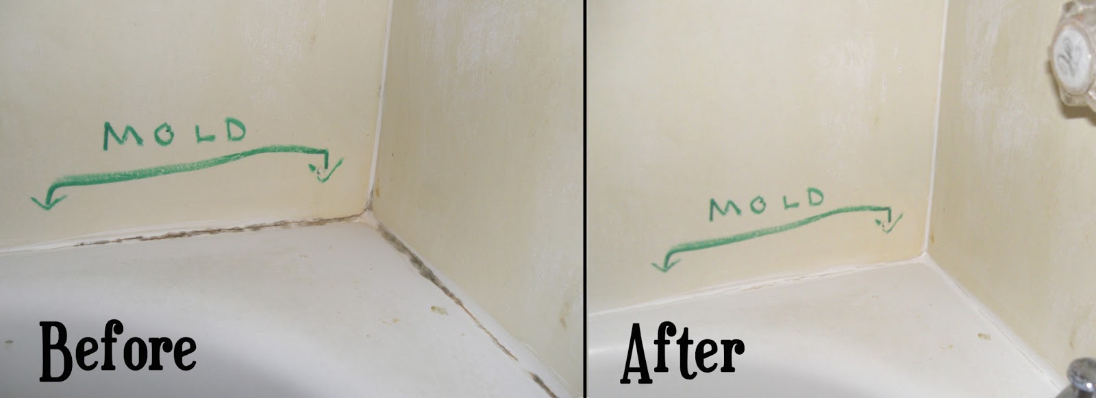 Remove All How to Remove Mold from Bathtub Clauk